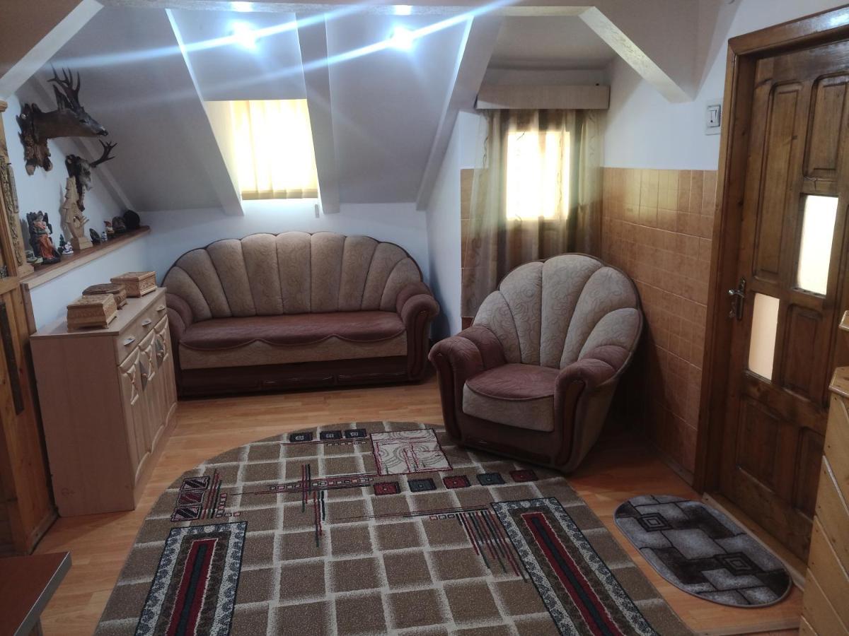 Casa Cristian Villa Campulung Moldovenesc Luaran gambar
