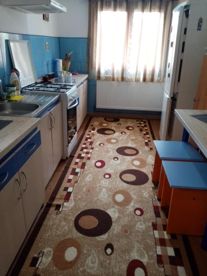 Casa Cristian Villa Campulung Moldovenesc Luaran gambar